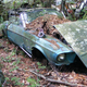Illustration for article titled Massive Secret Mustang Junkyard Found In Rhode Island Forest